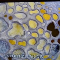 凄い！！としか・・「カナダ寒暖の奇観」より