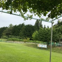 上久堅のドッグラン わんわん広場