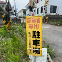 高齢者