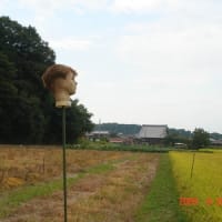 シンプルすぎる！