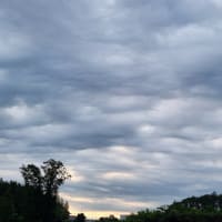朝空