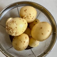 リン9年目の命日と新じゃがの収穫