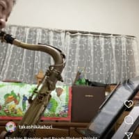 スタンダード