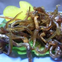 春の風物詩