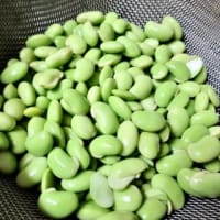 枝豆でずんだ餡を作る