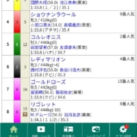 競馬