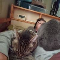 皆で寄り添うのが温かい！！