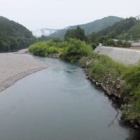 本日の海部川