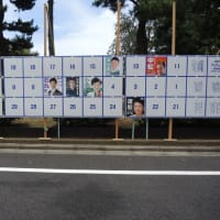 都知事選の世田谷区千歳台4丁目ポスター掲示板は7名