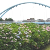 美しく彩って・・