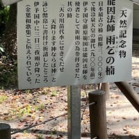 しまなみドライブ（前編）