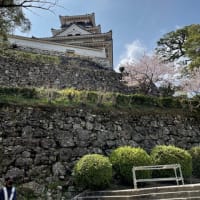 有馬温泉、そして高知県への旅。桜満開でした。