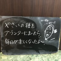 店頭黒板