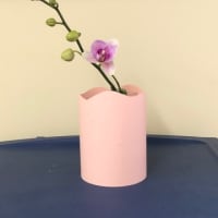 胡蝶蘭二世