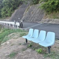 今朝は