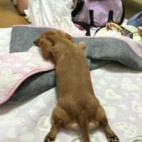 くすくす