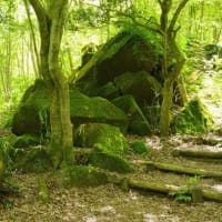 新緑と巨岩奇岩の鍋倉渓を歩く