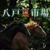 【八戸市場2024(Hachinohe Sale)】の「上場馬名簿」が発行