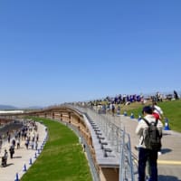 万博✨ & 雪柳の短歌 🎵 & 春の短歌🎵