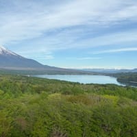 きれいな景色に癒される