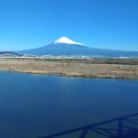 「今日は富士山の日（令...」