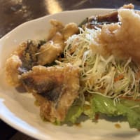 Orionで乾杯　 すし太郎