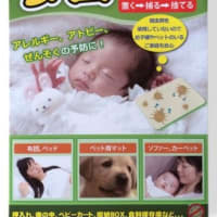 ダニピタ君を通販で買うなら楽天やヤフーよりも ダニピタ君が売れまくっている販売店はこちら