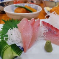 三宅島　その２