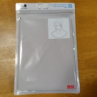 ハチの巣があった！