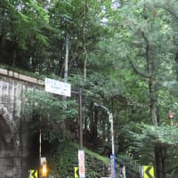 イソツネ山（多摩百８５）撤退