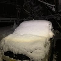 とうとう降ってしまいました❄️