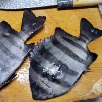 趣味の釣は、釣れなくても壮大な海風を浴びてリフレッシュする事が最高・！