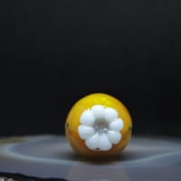 バーナーワークで何作る？その１３３（立体造形）古生物ちっこいシダズーン