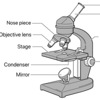 中学全学年理科① 顕微鏡の使い方　JHS biology ~Microscope~