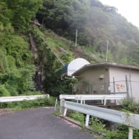 朝の散歩（2025/7/7）・・・姶良市加治木町宇曽ノ木川上流方面