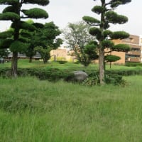 「鶴丸城」訪問記