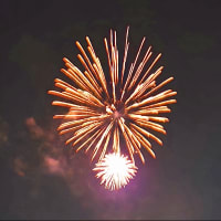 芝桜のライトアップ