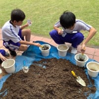 中学部　２年　理科「夏の花を植えよう」