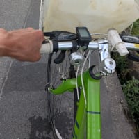 野菜の値上がりにご用心！