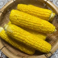 期せずして義母とお揃いに