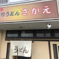 土佐手打うどん　さかえ
