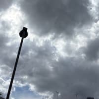 雨予報