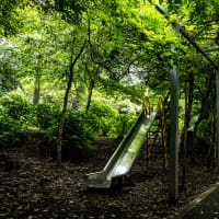 ぷちツー：紫陽花の日本寺へ（その1：境内巡り）