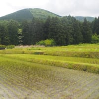 静岡県・伊豆市の「茅野の棚田」