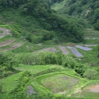 美人林と茅葺集落へ（新潟県・十日町）