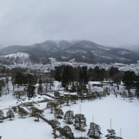 2025/3/5　きゅんパス日帰り旅行　中編2025/3/5にJR東日本の「きゅんパス」を使って日帰りで出かけてきました。