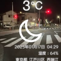 2025 1 17 おはようございます