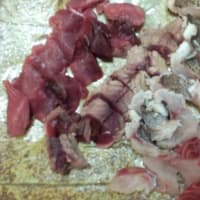 イサキ釣り