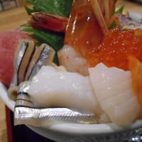 鎌倉市　魚福　海鮮丼大盛り