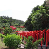 高山稲荷神社から鶴の舞橋へ